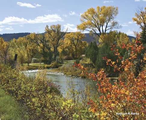 tnKRB-Uncompaghre-river